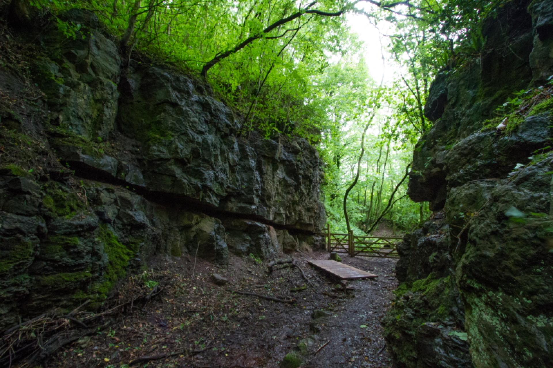 Clint Quarry in Cumbria, part of a great walking loop